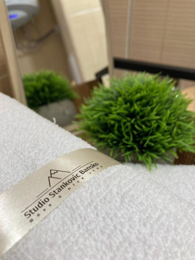 Studio Stankovic Royal Towers 326 Μπάνσκο Εξωτερικό φωτογραφία